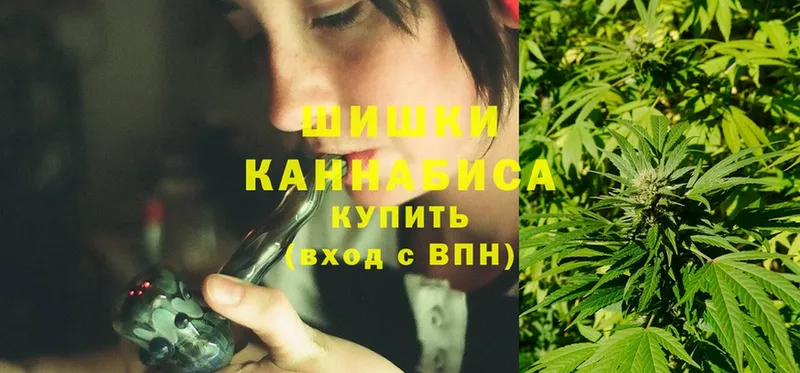 Шишки марихуана THC 21%  магазин  наркотиков  Данилов 